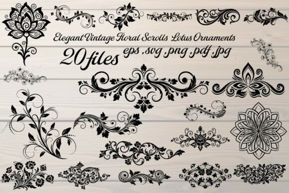 Download Lotus Ornaments Vector Set - Lotus Collection
